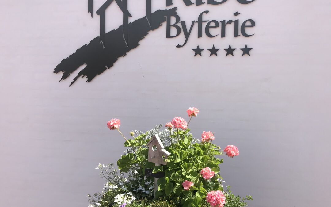 Ribe Byferie Resort
